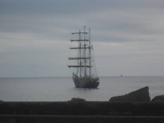 Sailing ship visitor